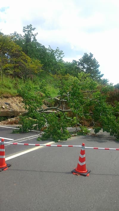 松山市野外活動センター 被害状況視察